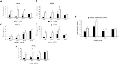 Transient suppression of Wnt signaling in poor-quality buffalo oocytes improves their developmental competence